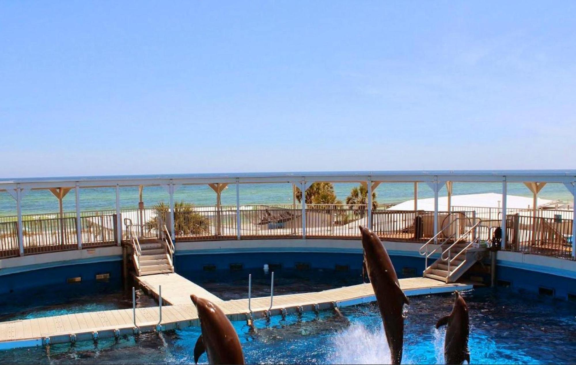 Island Sands 206 Fort Walton Beach Esterno foto